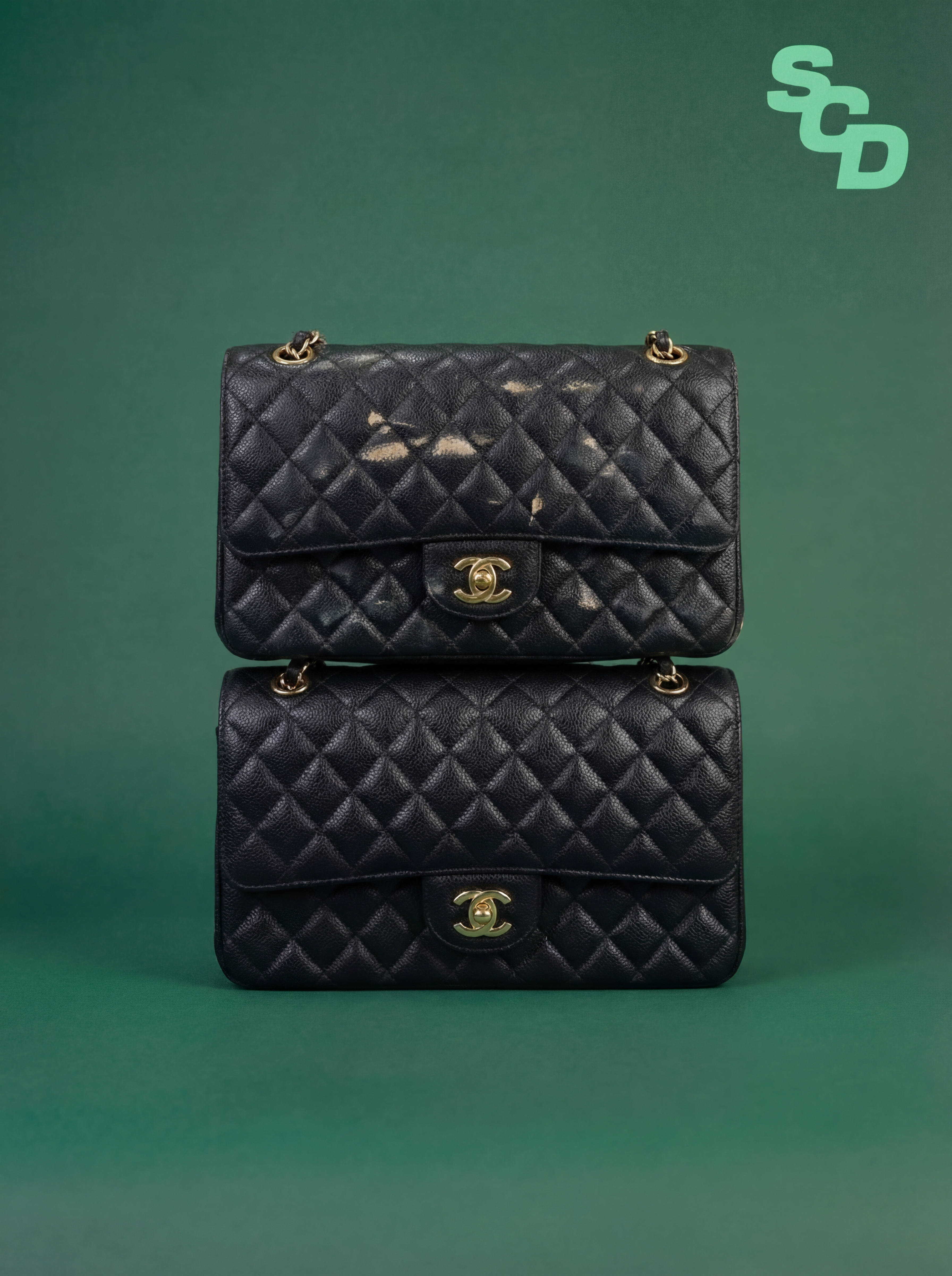 Premium Handbag Clean